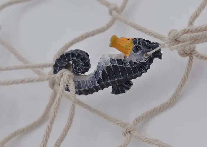 Tangram House Bed & Breakfast Pulsano